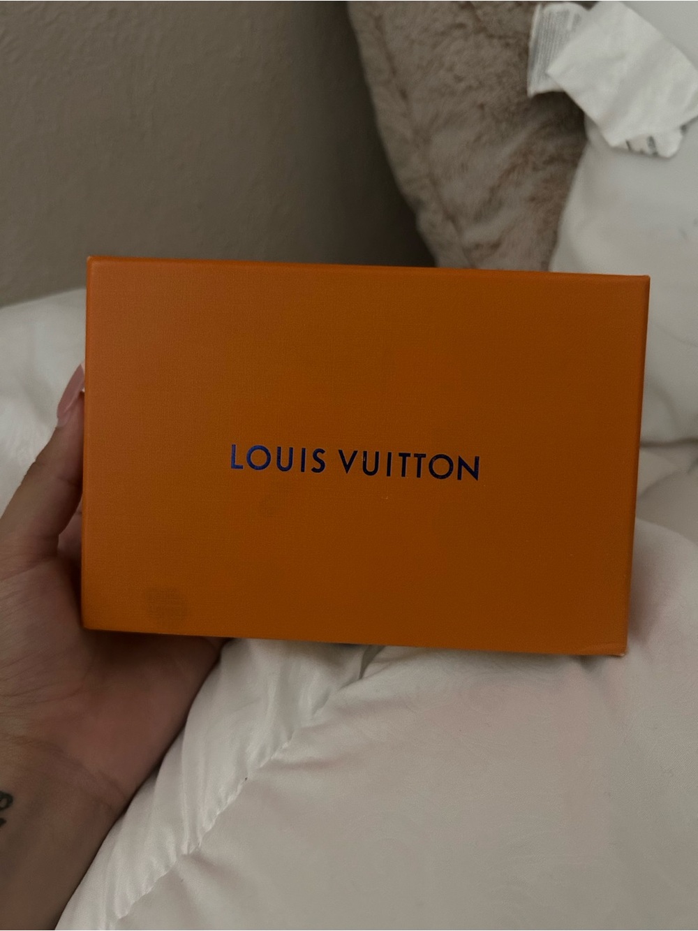 Louis Vuitton Wallet